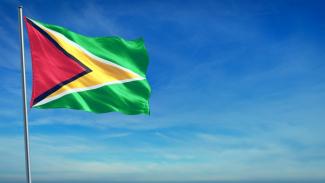 Guyana Flag